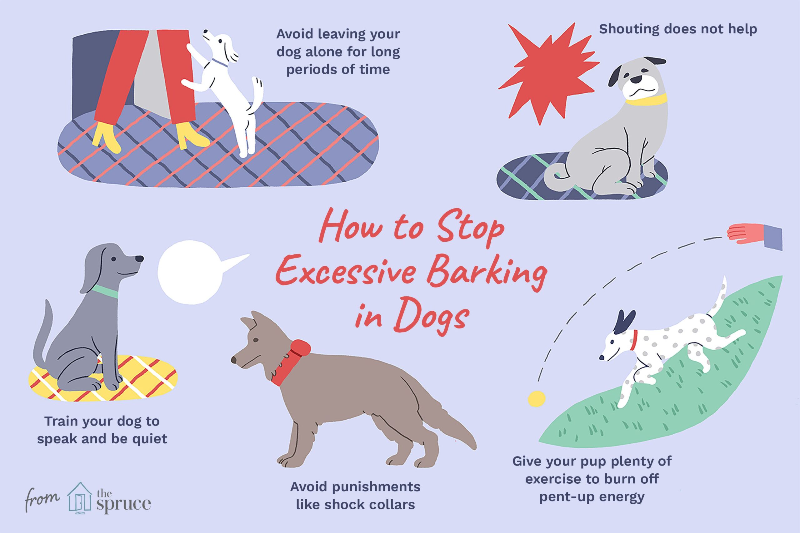 Barking Behavior How To Keep My Dog From Barking At Other Dogs